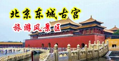 操逼好爽啊啊啊啊视频免费观看流出来了中国北京-东城古宫旅游风景区